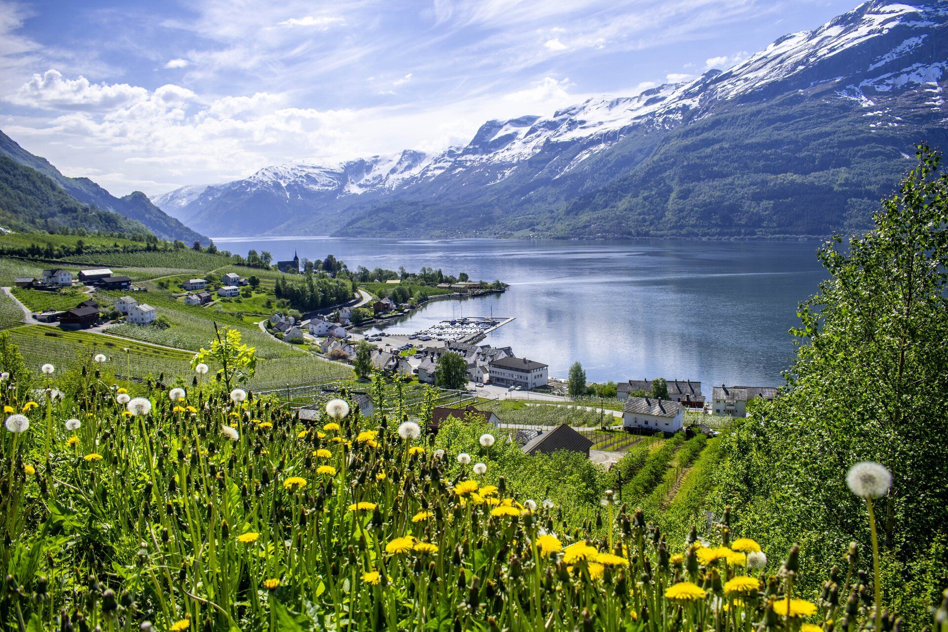 5 Fantastic Day Trips from Bergen – Nature, Fjords & Flavour