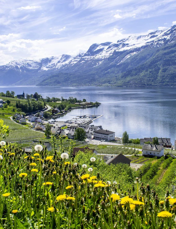 5 Fantastic Day Trips from Bergen – Nature, Fjords & Flavour